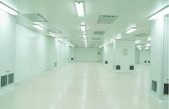 十萬(wàn)級(jí)電子凈化車(chē)間